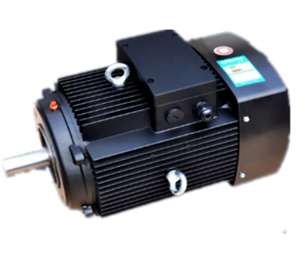 YE3系列(lie)多級泵專用電(diàn)機