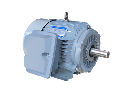 NE系列高效(xiào)高轉矩三相異步(bù)電動機