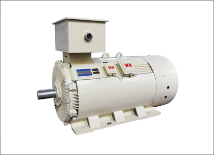 Y2系列(liè)高壓三相異步電(diàn)動機