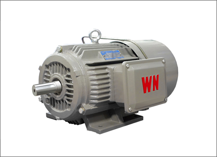 YXEJ系列高效率電(diàn)磁制動三相異步(bù)電動機