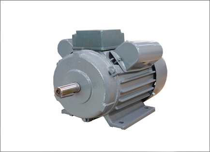 YL系列雙值電(diàn)容異步電動(dong)機