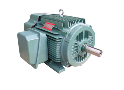 NEP系列超(chao)高效率(lü)三相異(yì)步電動(dòng)機