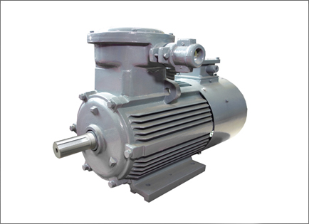 YBBP系列隔爆(bào)型變頻調(diào)速三相異(yì)步電動機(ji)