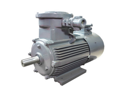 河(hé)北皖南隔爆電動(dong)機