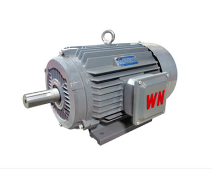 如何确定高(gao)效節能電機軸承(chéng)更換時間