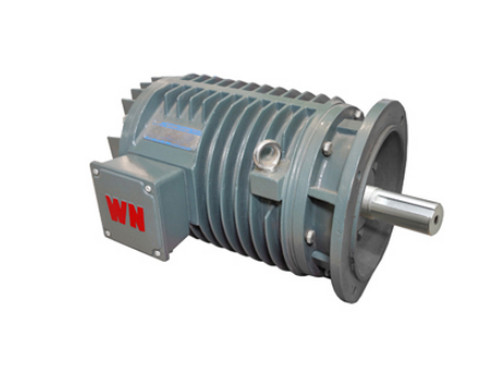 YG系(xi)列輥道用調速三(san)相異步電動機